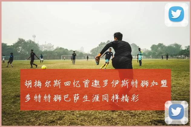 胡梅尔斯回忆曾邀罗伊斯特狮加盟多特特狮巴萨生涯同样精彩